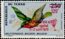 Red-throated Bee-eater (Melittophagus bullocki) - overprint