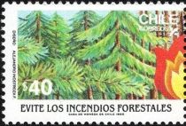 Green forest