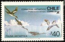 Antarctic Shag (Phalacrocorax atriceps)