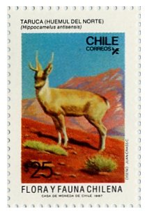 North Andean Huemul (Hippocamelus antisensis)