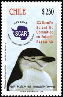 Chinstrap Penguin (Pygoscelis antarctica)