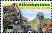 Cougar, Baboon, Rhea