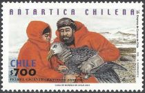 Researchers, Southern Giant Petrel (Macronectes giganteus)