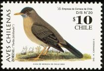 Austral Trush (Turdus falcklandii)