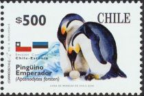 Emperor Penguin (Aptenodytes forsteri)