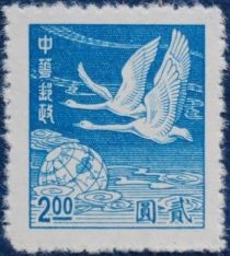 Tundra Swans over Globe, Swan Geese (Anser cygnoides)