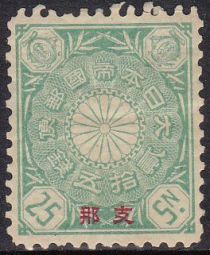 Chrysanthemum with Overprint