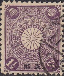 Chrysanthemum with Overprint