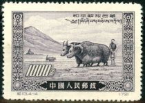 Yaks (Reprint)