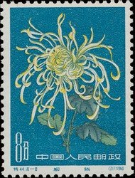 Chrysanthemum