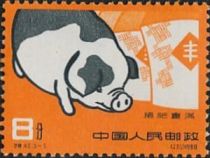 Pig breed