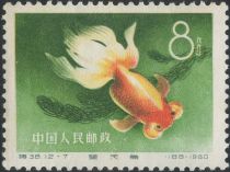 Goldfish (Carassius auratus auratus)