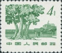 Trees & Sha Cho Pa Building, Juikin