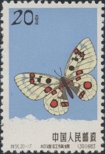 Richthofeni Red Apollo (Parnassius nomion)