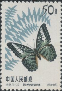 Yunnan Clipper (Parthenos sylvia)