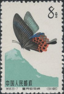 Swallowtail (Papilio hoppo)