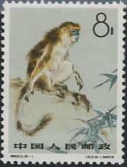 Grey Snub-nosed Monkey (Rhinopithecus brelichi)