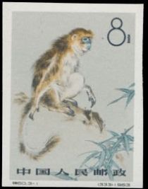 Grey Snub-nosed Monkey (Rhinopithecus brelichi)