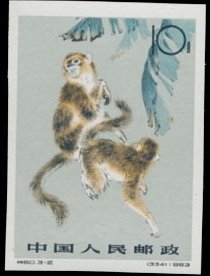 Grey Snub-nosed Monkey (Rhinopithecus brelichi)