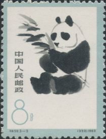 Giant Panda (Ailuropoda melanoleuca)