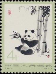 Giant Panda (Ailuropoda melanoleuca)