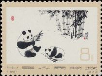 Giant Panda (Ailuropoda melanoleuca)