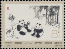 Giant Panda (Ailuropoda melanoleuca)