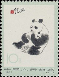 Giant Panda (Ailuropoda melanoleuca)