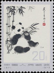 Giant Panda (Ailuropoda melanoleuca)