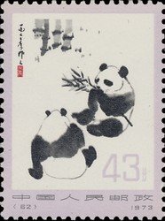 Giant Panda (Ailuropoda melanoleuca)