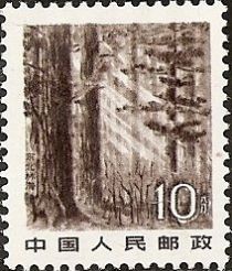 Forest in Northeastern provinces (Manchuria)