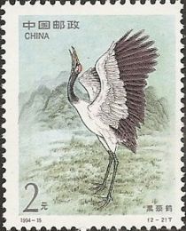 Black-necked Crane (Grus nigricollis)