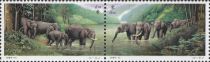 Asian Elephant (Elephas maximus)