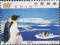 Emperor Penguin (Aptenodytes forsteri)