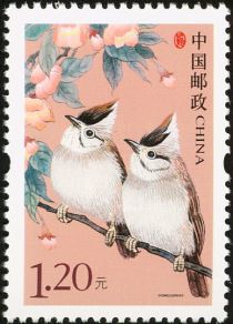 Taiwan Yuhina (Yuhina brunneiceps)