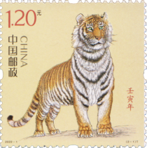 Year of the Tiger 2022