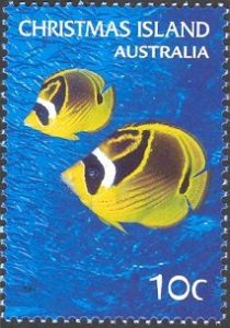 Raccoon Butterflyfish (Chaetodon lunula)