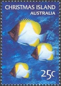 Pyramid Butterflyfish (Hemitaurichthys polylepis)