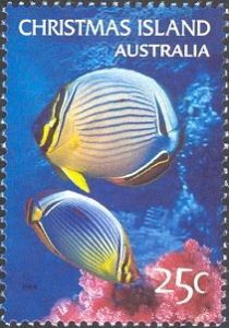 Melon Butterflyfish (Chaetodon trifasciatus)