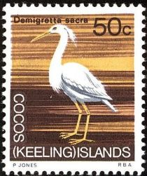 Pacific Reef-Heron (Demigretta sacra)