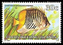 Madagascar Butterflyfish (Chaetodon madagascariensis)