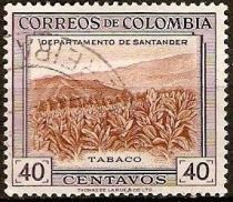 Tobacco Plantation, Santander Department