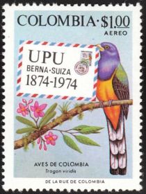 Green-backed Trogon (Trogon viridis)