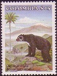 Spectacled Bear (Tremarctos ornatus)