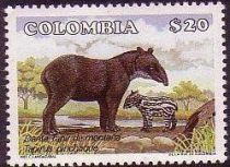 Mountain Tapir (Tapirus pinchaque)