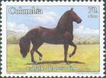 Paso Fino Horse