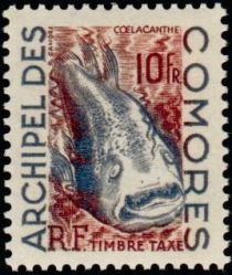 West Indian Ocean Coelacanth (Latimeria chalumnae)