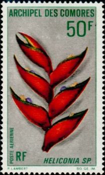 Heliconia