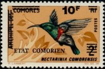 Anjouan Sunbird (Nectarinia comorensis) surcharged