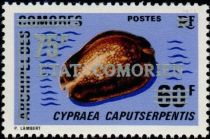 Cypraea caputserpentis overprinted and surcharged